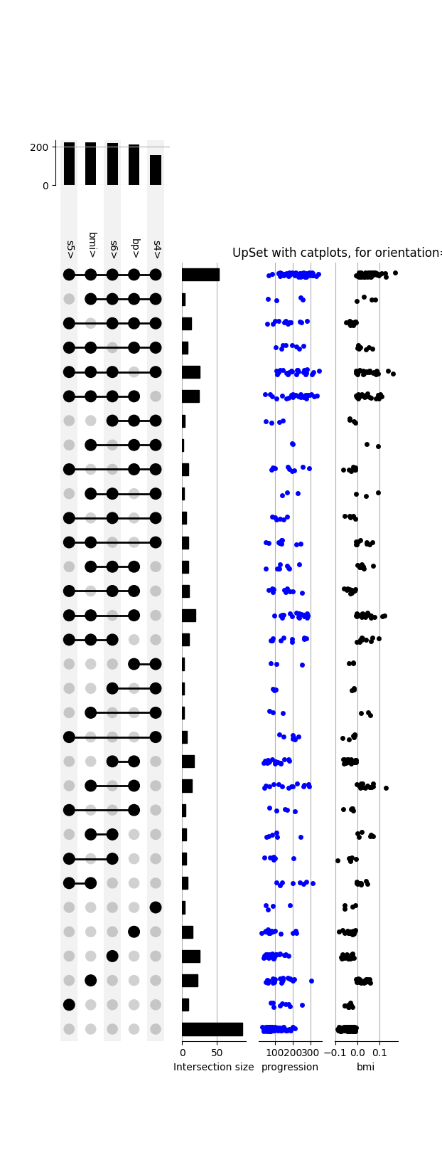 UpSet with catplots, for orientation='vertical'